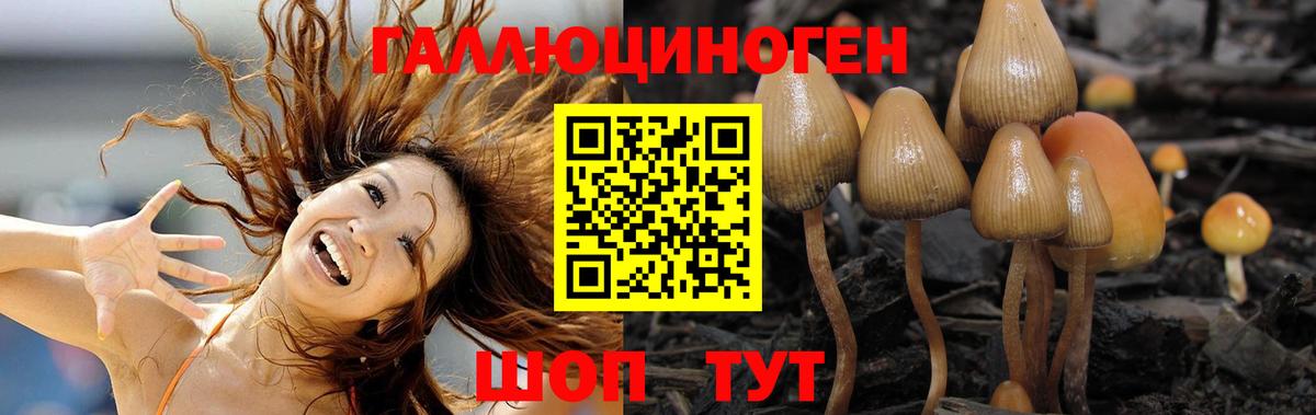Пыть-Ях  Псилоцибиновые грибы MAGIC MUSHROOMS  Псилоцибиновые грибы MAGIC MUSHROOMS  Вход с VPN 